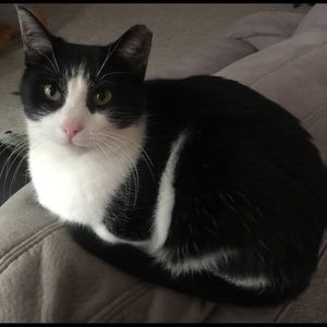 Meet your Posher, Marty